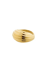 Asle Ring - Goud
