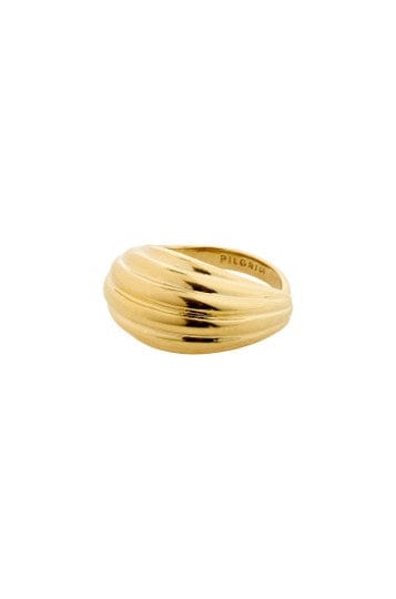 Asle Ring - Goud