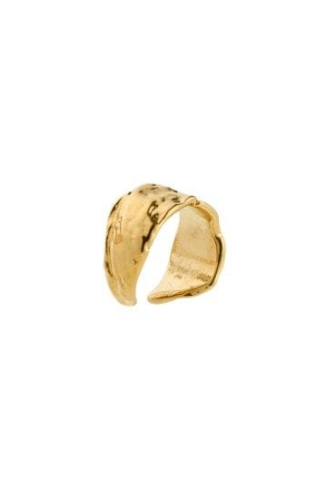 Instant Earcuff - Goud