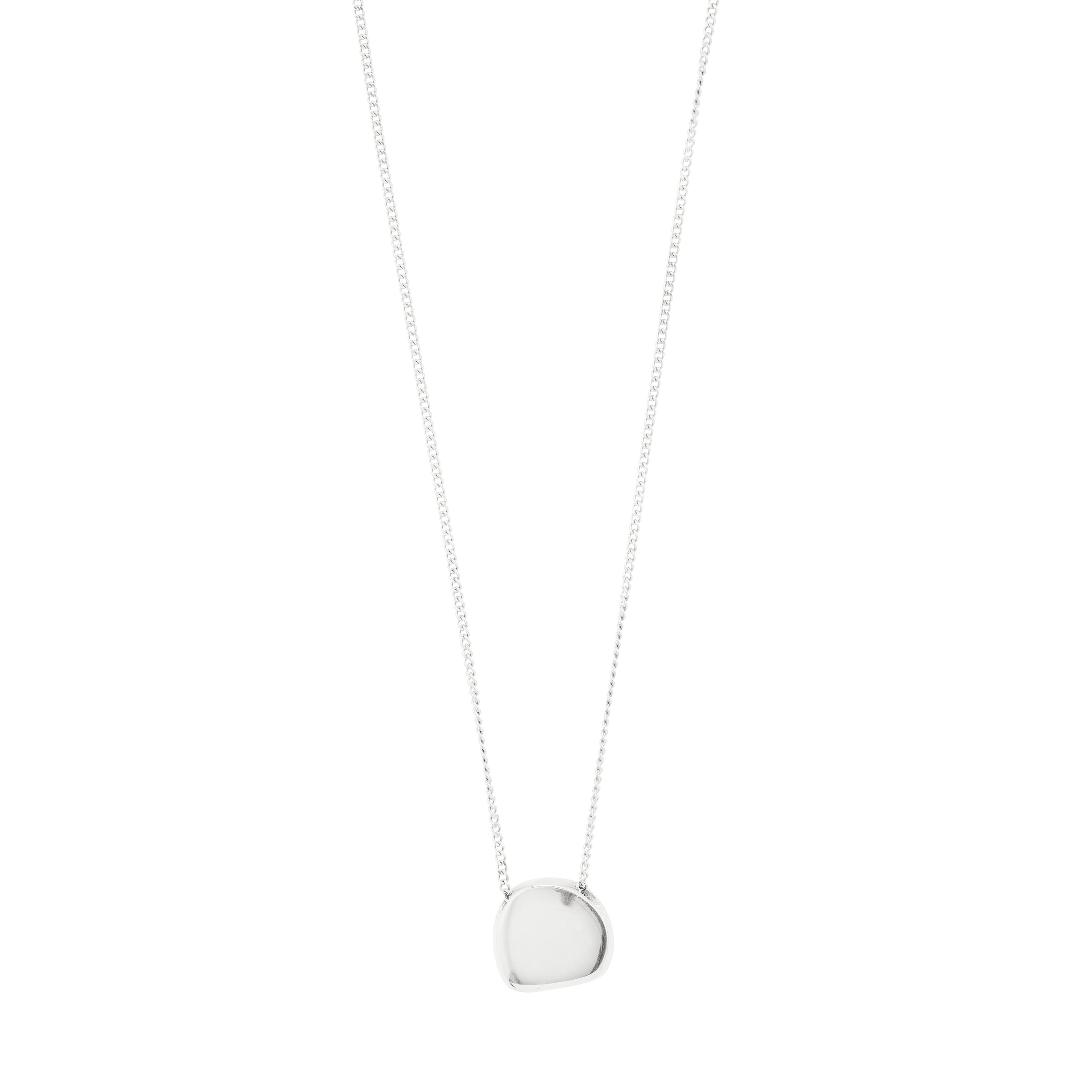 Presence Coin Ketting - Zilver