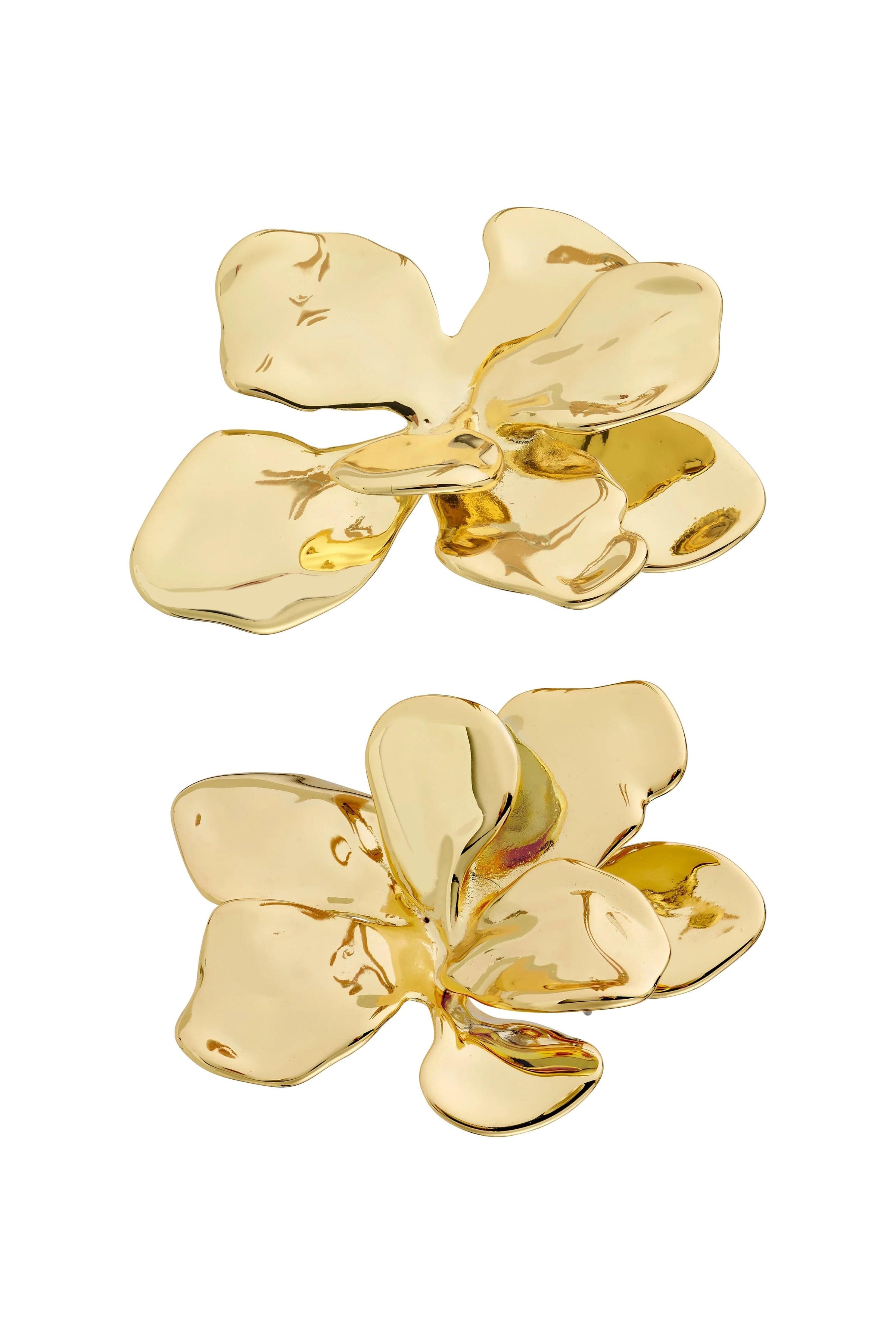 Halen Oorbellen - Goud