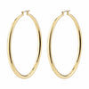 Priya Earrings - Goud