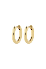 Charm Small Hoop Earrings - Gold