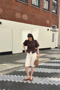 Anela Stippen Blouse - Bruin