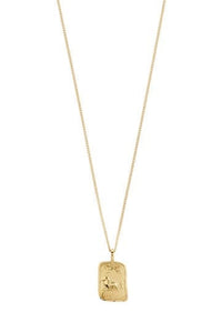 Leo Recycled Zodiac Ketting - Goud