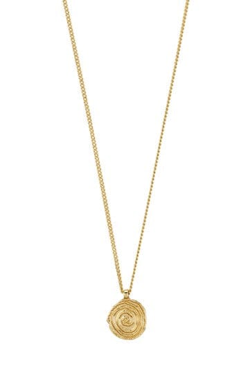 Air Munt Ketting - Goud