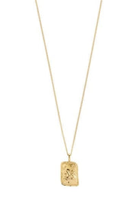 Capricorn Recycled Zodiac Ketting - Goud