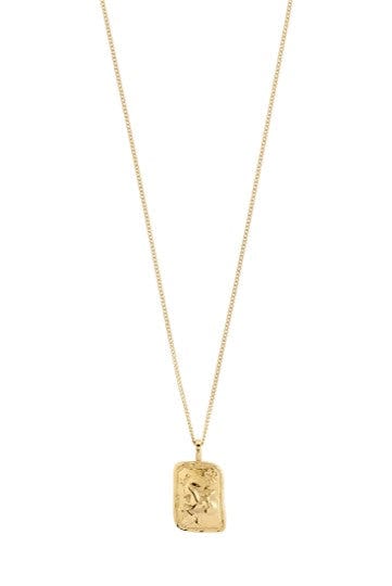 Capricorn Recycled Zodiac Ketting - Goud