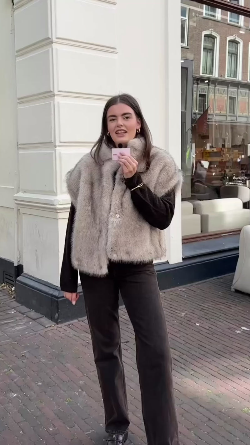 Kevini Faux Fur Gilet - Beige